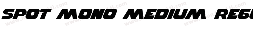 Spot Mono Medium Regular字体转换